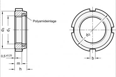 Wellenmutter mit Sicherungseinlage M 10 x 0,75 mm